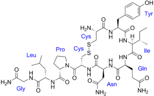 Oxytocin