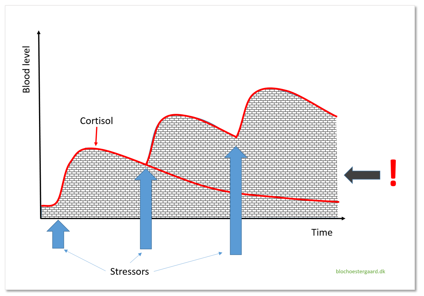 cortisol stress